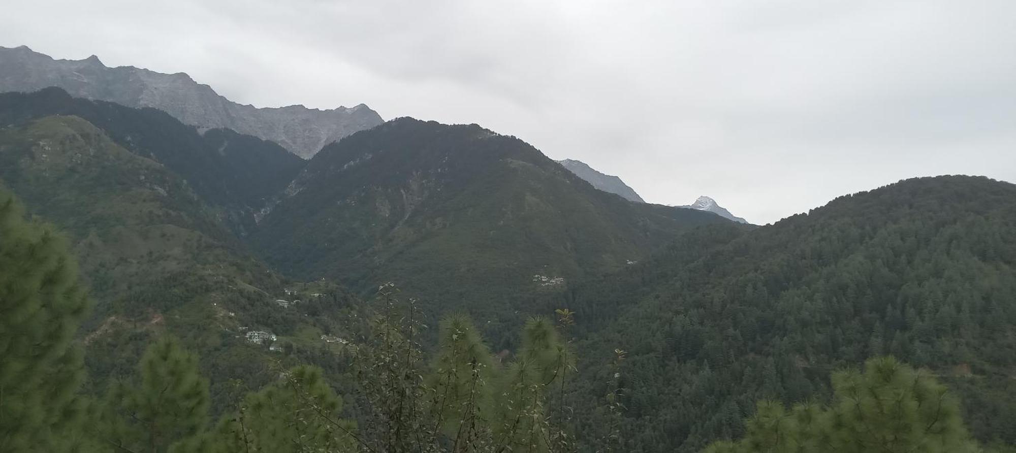 Apartamento Moonlight Ridge McLeod Ganj Exterior foto